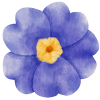 acuarela de flor azul pintada para elemento decorativo png