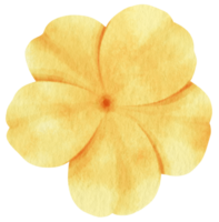 Yellow flower watercolor painted for Decorative Element png