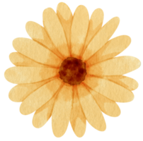 aquarelle fleur jaune peinte pour élément décoratif png