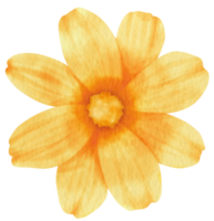 Yellow flower watercolor painted for Decorative Element png