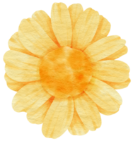 aquarelle fleur jaune peinte pour élément décoratif png