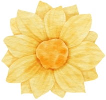 aquarelle fleur jaune peinte pour élément décoratif png