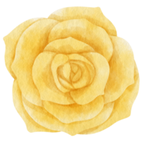 acuarela de flor rosa amarilla pintada para elemento decorativo png