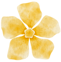 aquarelle fleur jaune peinte pour élément décoratif png