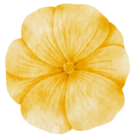 aquarelle fleur jaune peinte pour élément décoratif png