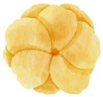 gul blomma akvarell målad för dekorativt element png