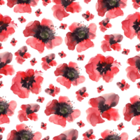 Poppy flowers watercolor drawing seamless pattern isolated petals buds.Illustration hand drawn art png