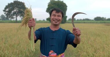 retrato de homem agricultor asiático feliz em um vestido azul mostrando foice colher arroz e olhando para a câmera no arrozal. video