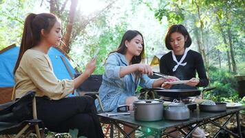 jovem mulher asiática cozinhando e sua amiga gostam de usar o smartphone tirar uma foto da refeição na panela, eles conversam e riem com diversão juntos enquanto acampam no parque natural video