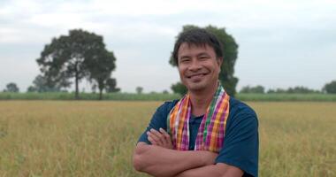 toma en cámara lenta de un granjero asiático feliz mirando la cámara y los brazos cruzados en el campo de arroz. video