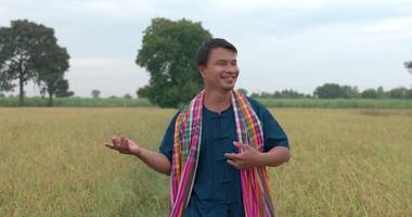 feliz joven agricultor asiático con taparrabos bailando mientras camina en el campo de arroz. video