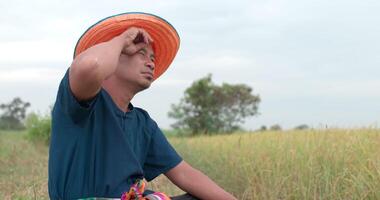 retrato de un granjero asiático cansado quitándose un sombrero y limpiándose el sudor de la frente con la mano en el campo de arroz. video