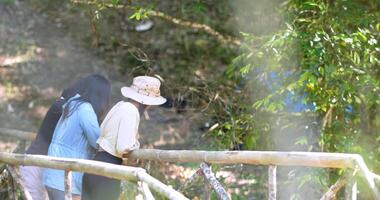 Handheld shot, rear view, group of young asian women standing on bamboo bridge are watching beautiful nature while camping in forest with happiness together video