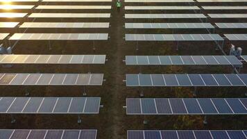 vista aérea de drones, vuelo sobre una granja de paneles solares y un joven ingeniero con casco blanco hablando por teléfono inteligente y caminando entre la fila de paneles solares video