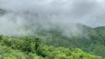 filmato. vista sulla foresta di montagna nella stagione delle piogge con nebbia galleggiante. video