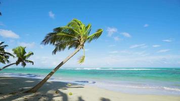 havet strand bakgrund video