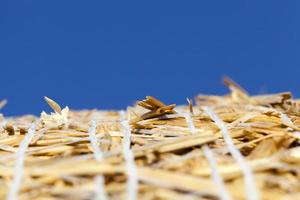 bales of straw photo