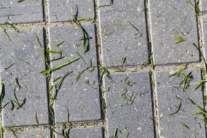 pavimentación de baldosas de hormigón foto