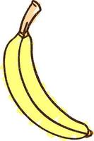 dibujo de tiza de plátano vector