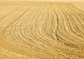 plowed agriculture field photo