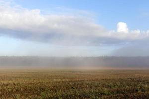 autumn fog in the field photo