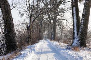 narrow snow covered winter road photo