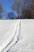 narrow snow covered winter road photo