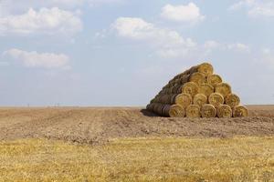 a stack of straw photo