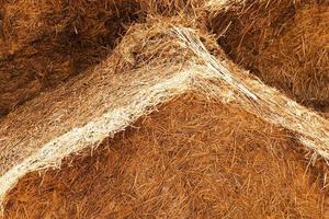 haystacks piled straw photo