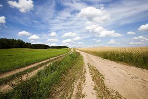 Spring road , countryside, photo