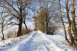 camino de invierno cubierto de nieve foto