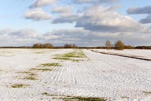 snow covered field photo