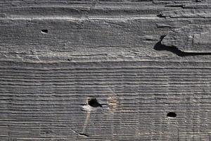 abstract wooden surface photo