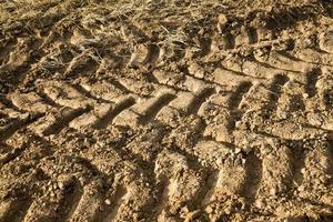 tire tracks on the sand photo