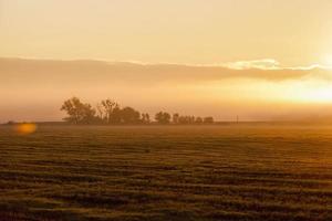 paisaje en la naturaleza durante la puesta de sol foto