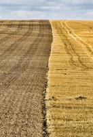 half of the plowed field photo