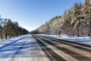 winter road, forest photo