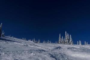 sunny winter morning in the mountains of sheregesh on the ski track photo