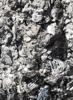 grey cold coals photo