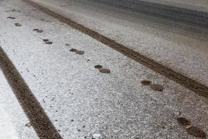 Traces on the snow photo