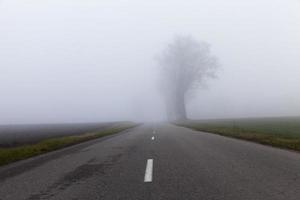 Asphalt road into the fog photo