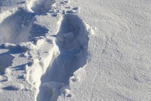 Footprints , close up photo