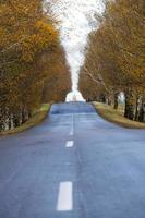 asphalted road, autumn and fog photo