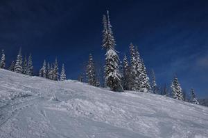 sunny winter morning in the mountains of sheregesh on the ski track photo