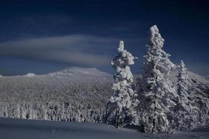 soleada mañana de invierno en las montañas de sheregesh en la pista de esquí foto