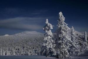 sunny winter morning in the mountains of sheregesh on the ski track photo