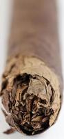 cigarro marrón, primer plano foto