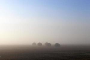 stacks of straw photo