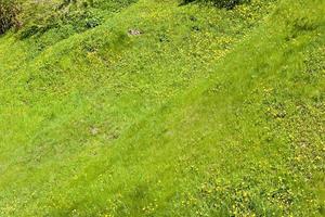 grass hilly terrain photo