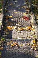 old concrete staircase photo